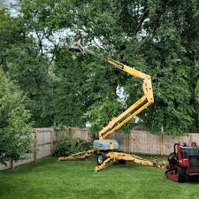 Lawn Grading and Leveling in Lorane, PA